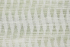 3 Fern
