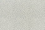 62 Sage