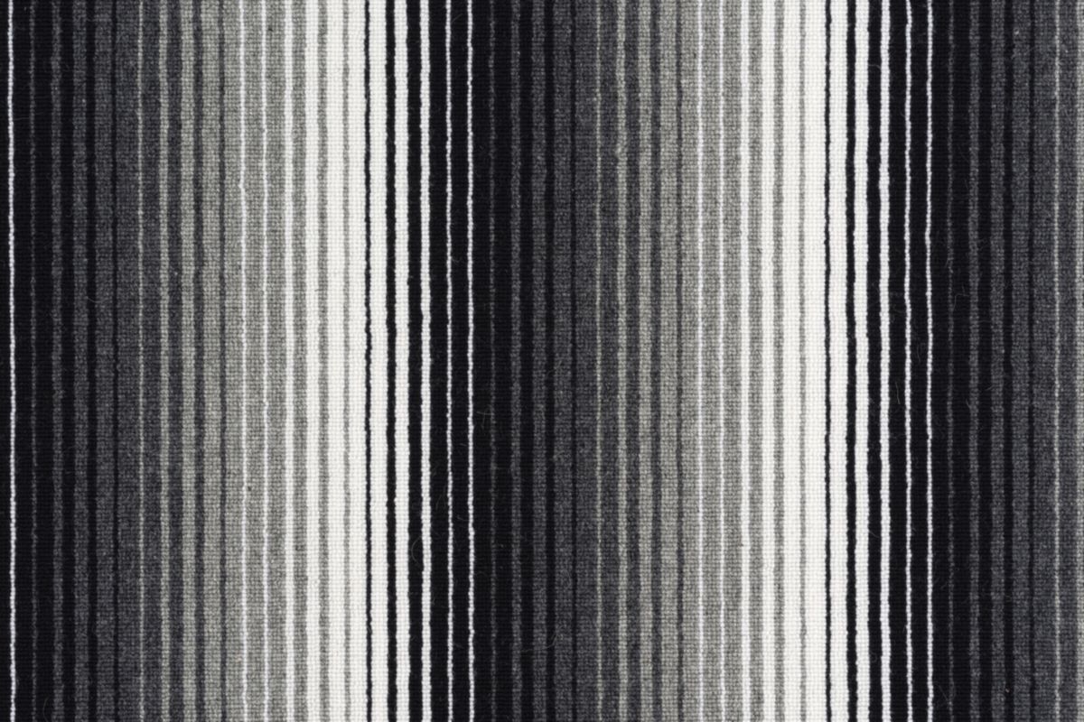 9 Zebra