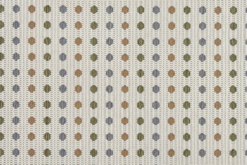 Safari