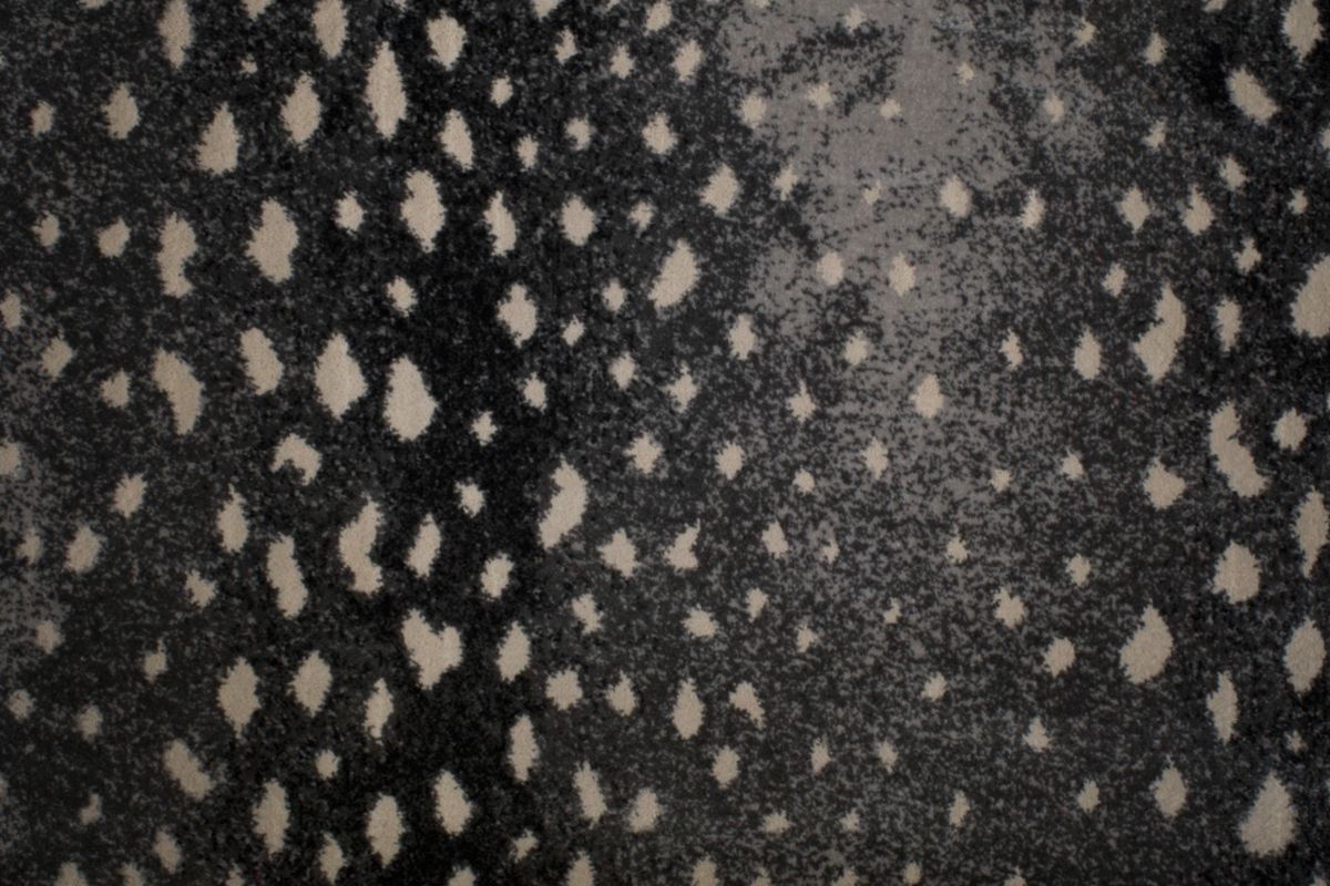 T01000741_CL