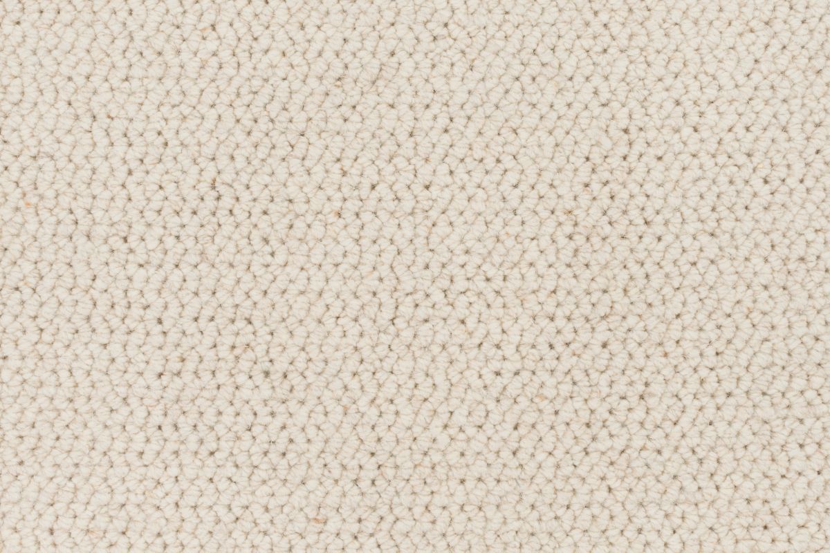T01002620_CL