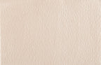T01002766_SAMPLE