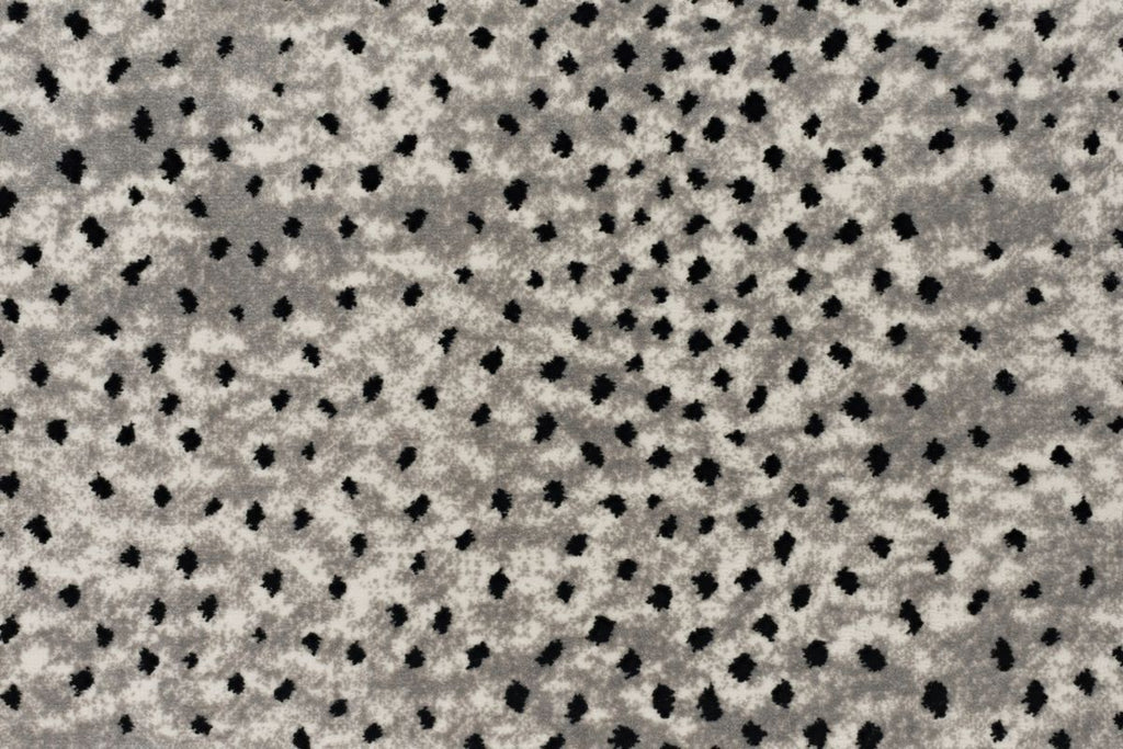 T01006617_CL