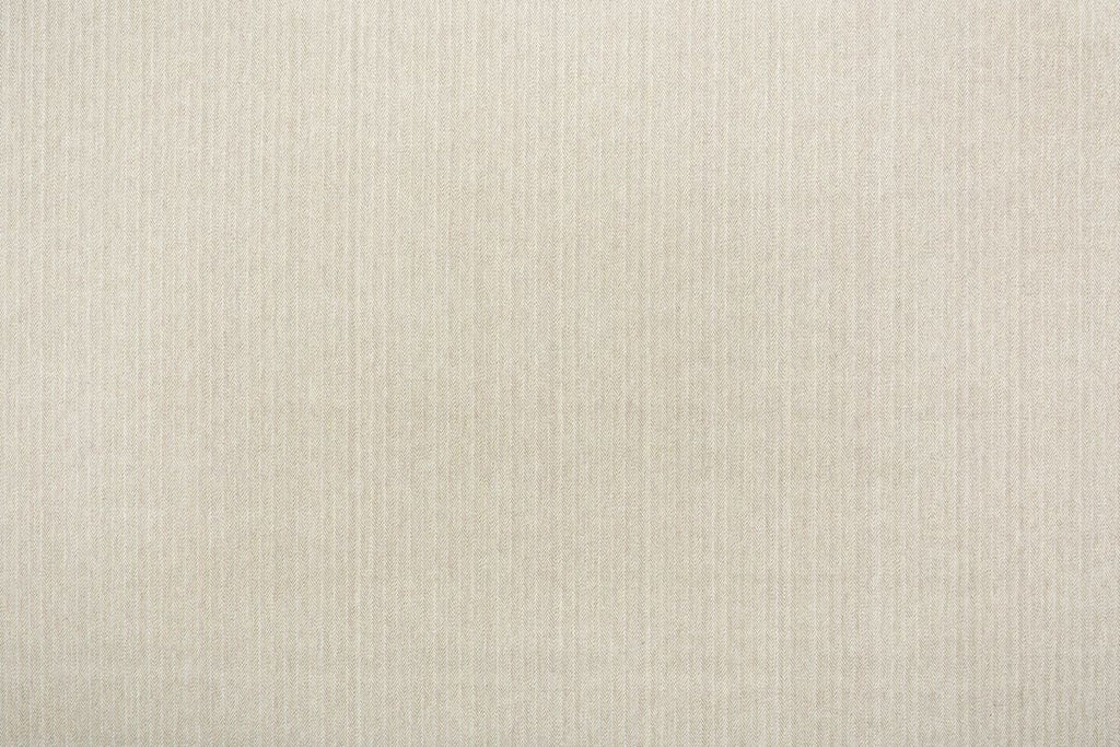 T01007528_ALT2