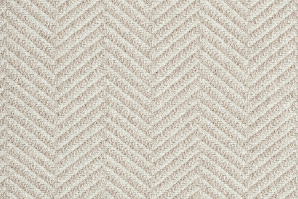 T01008913_CL