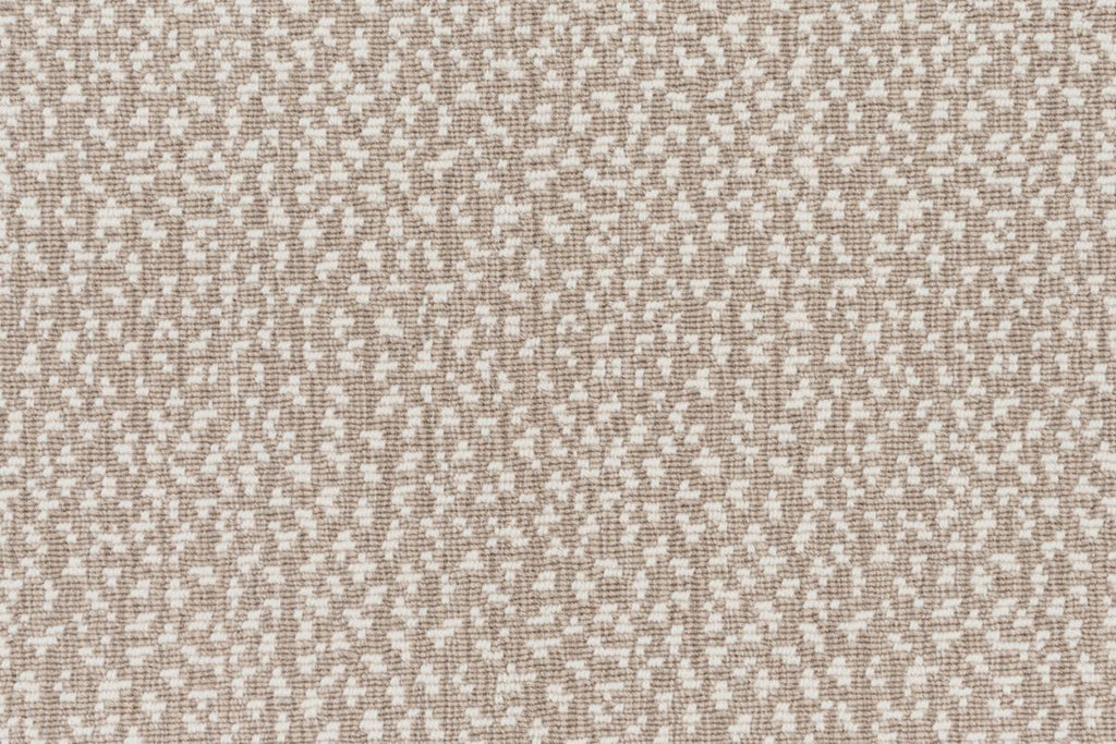 T01008955_CL