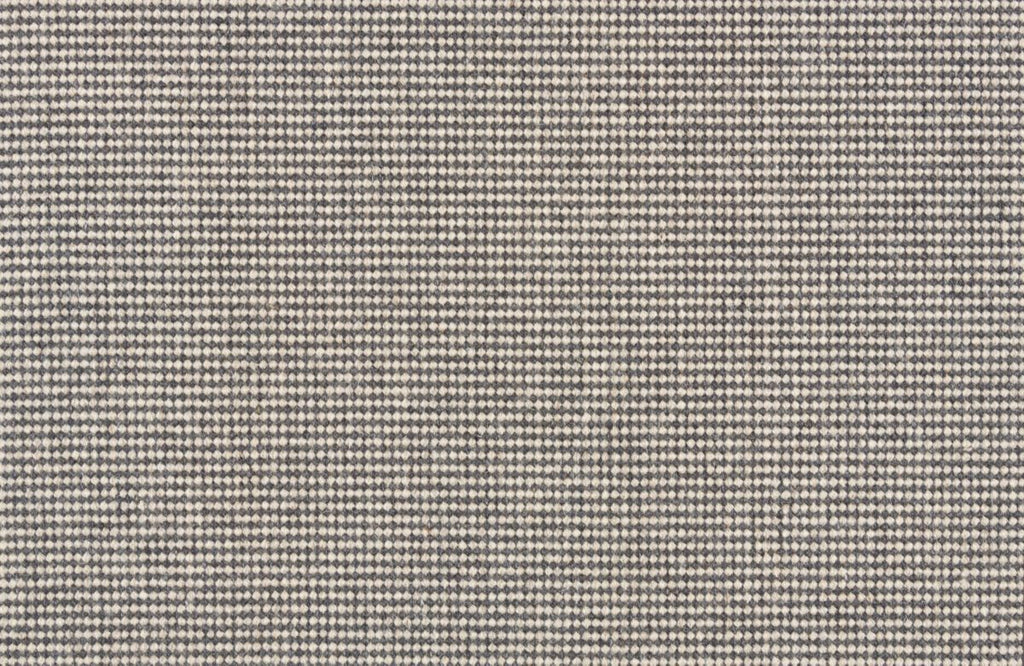 T01009106_CL
