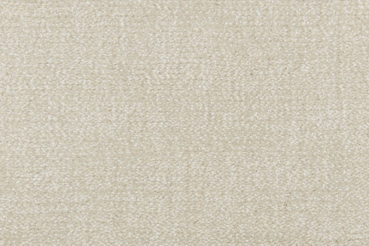 T01009504_CL
