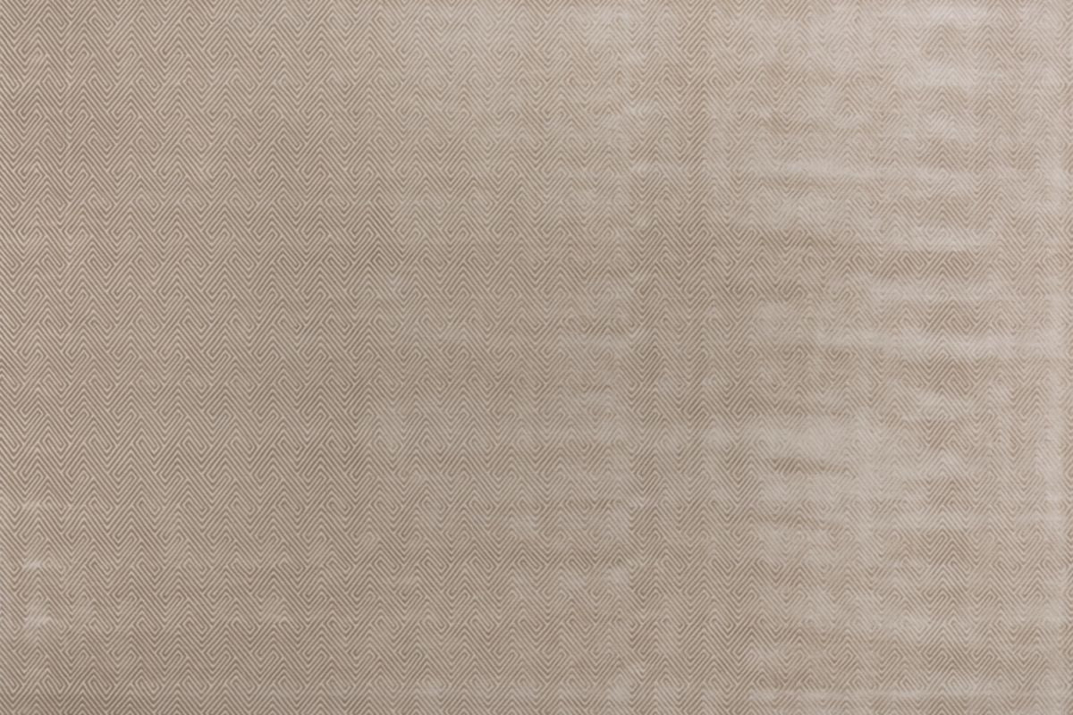 T01010454_ALT2