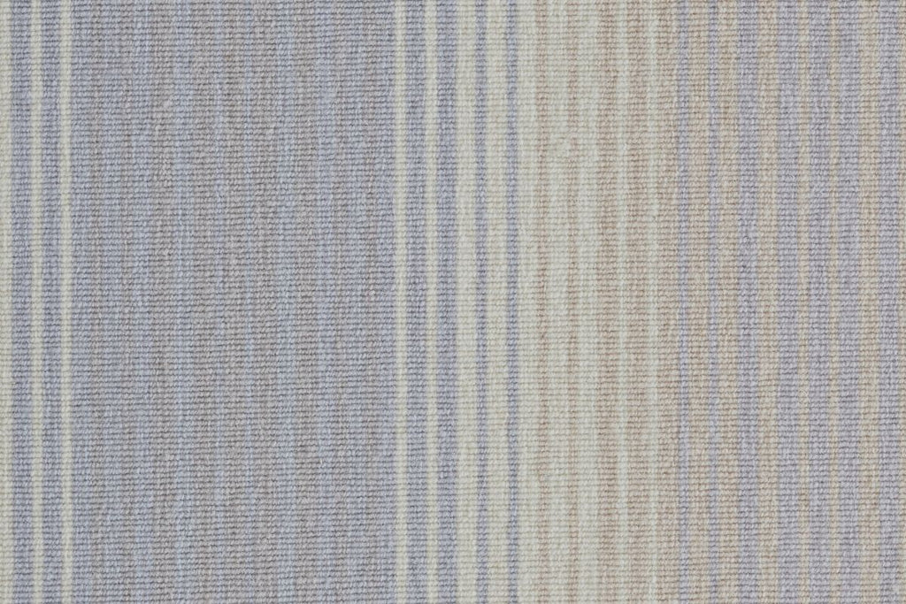 T01010562_CL