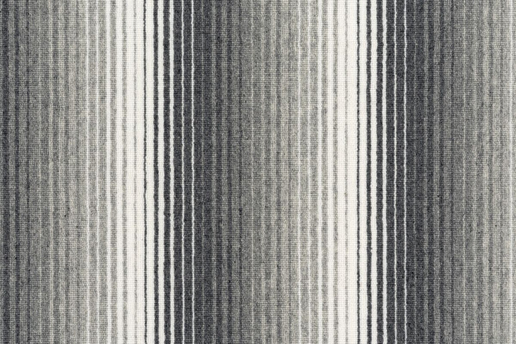 T01010644_CL