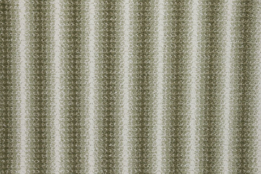 T01013537_CL
