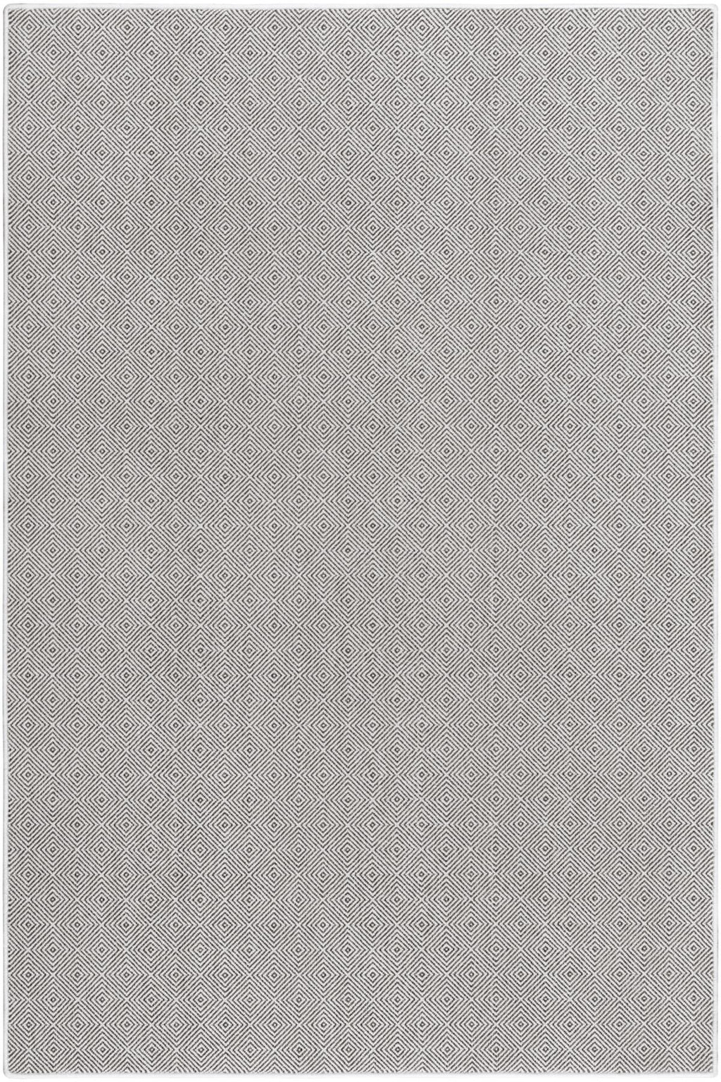 T01013843