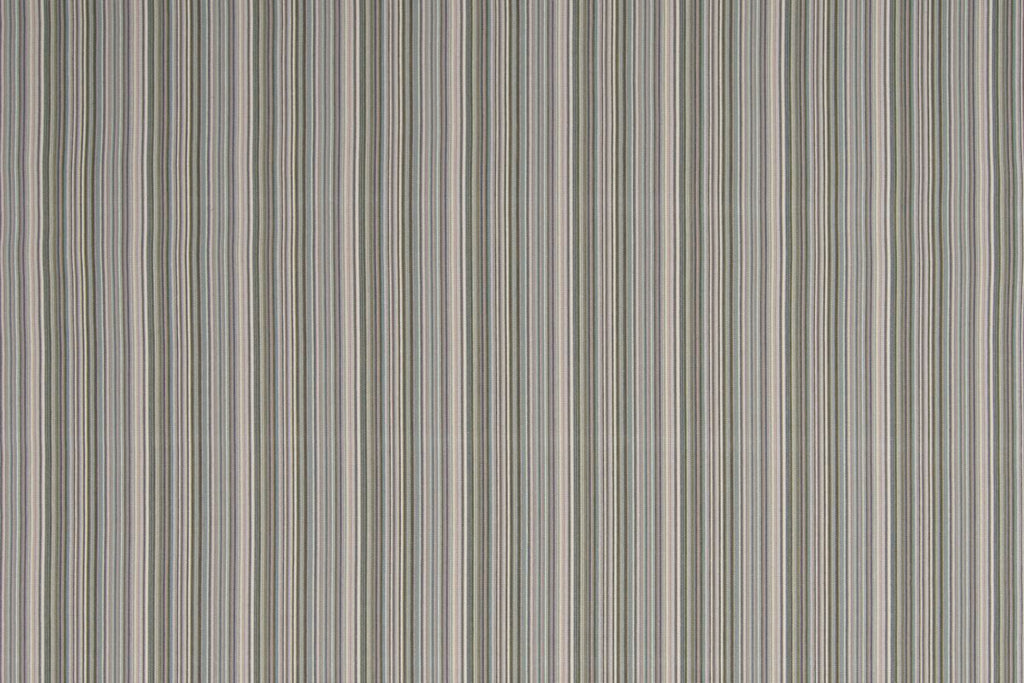 T01015996_ALT2