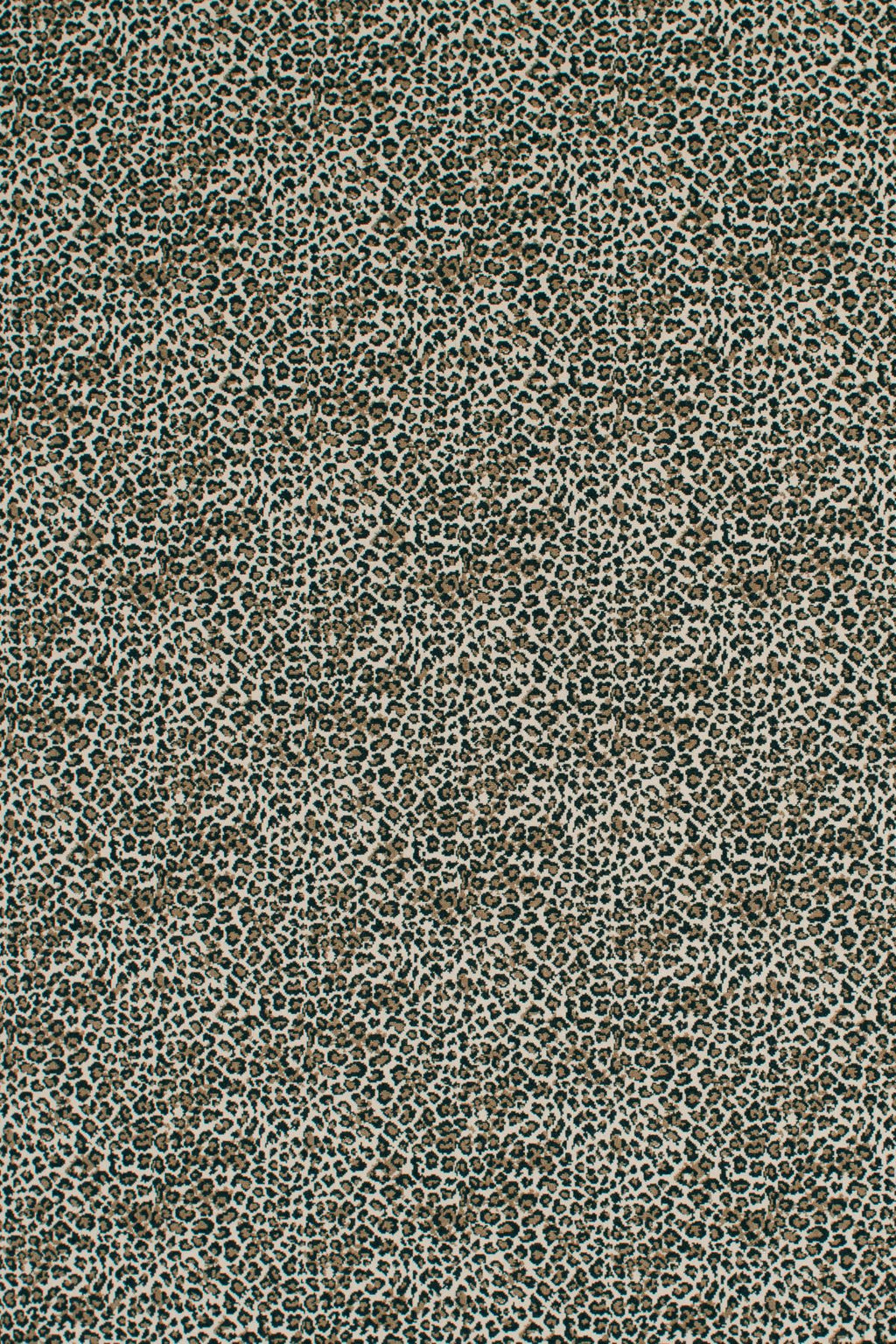 T01016850_ALT2