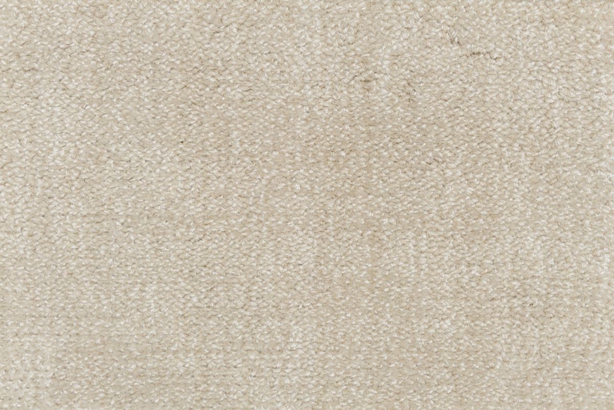 T01017488_CL